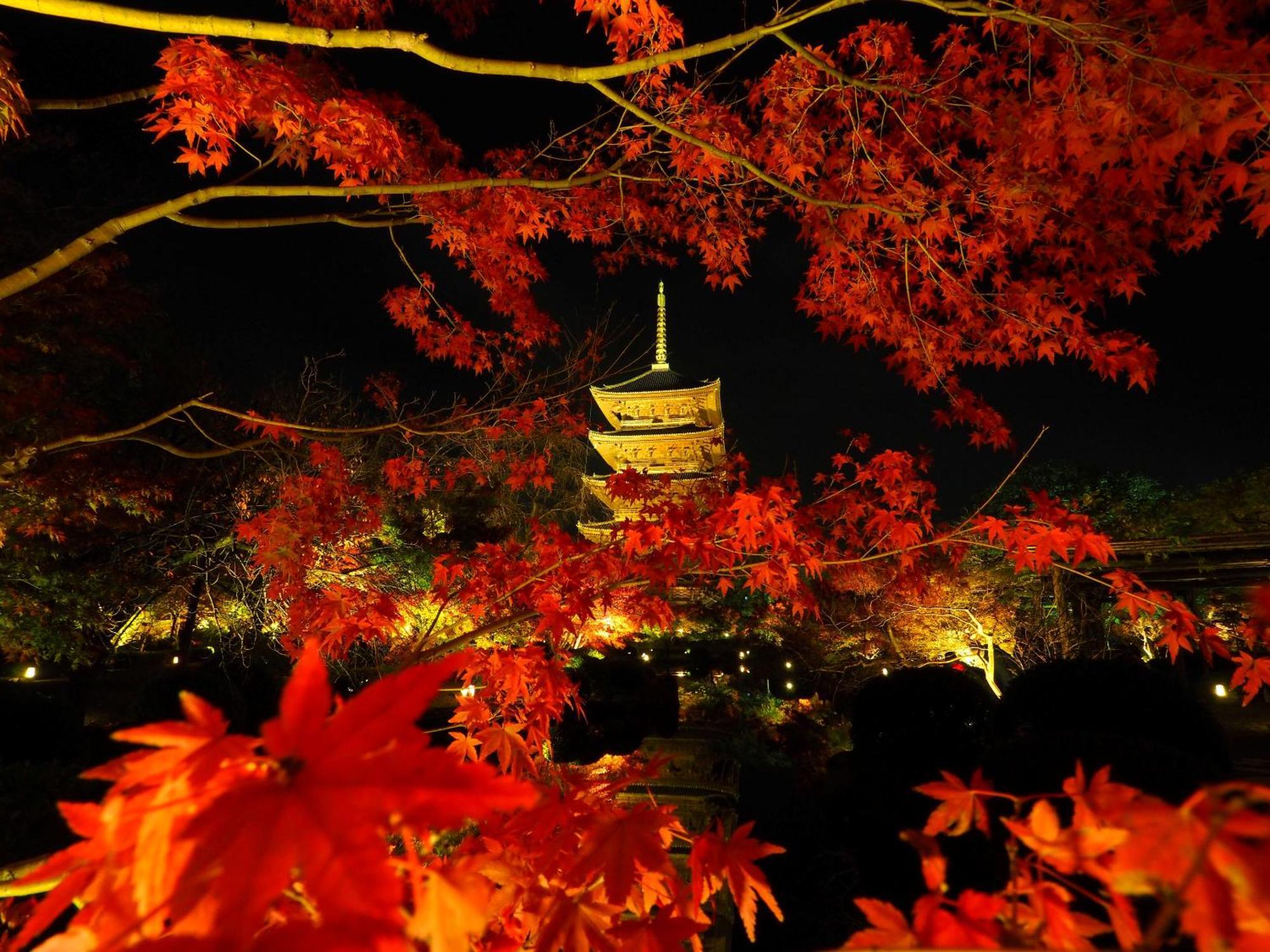 Stay Sakura Kyoto Higashi Hongan-Ji I Экстерьер фото