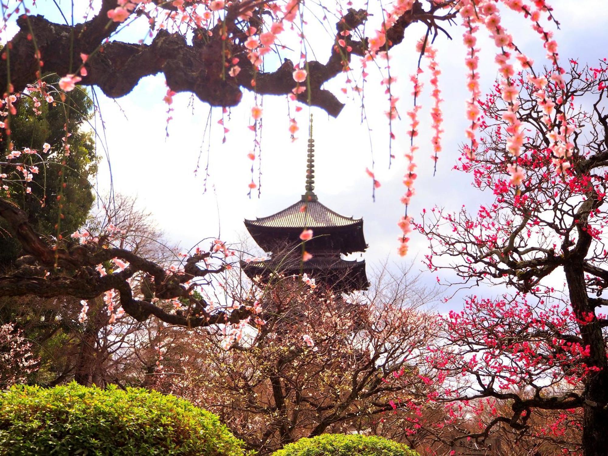 Stay Sakura Kyoto Higashi Hongan-Ji I Экстерьер фото
