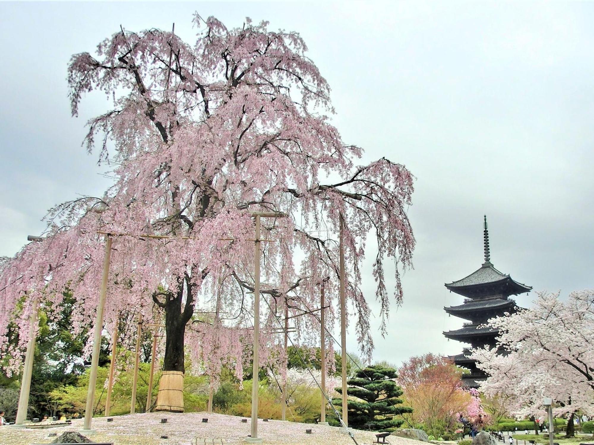 Stay Sakura Kyoto Higashi Hongan-Ji I Экстерьер фото