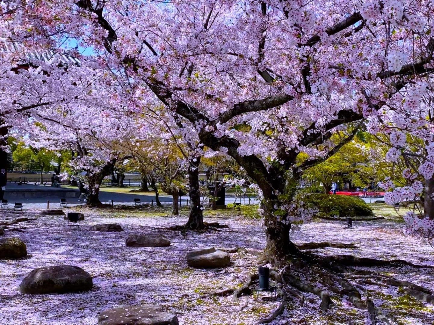 Stay Sakura Kyoto Higashi Hongan-Ji I Экстерьер фото
